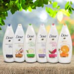6-Pack Dove Body Wash Shower Gel