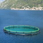 13 x 33 Ft. Garden Net - Image 14