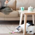 2 Cat Wand Toys with Suction Cup Double Head Interactive Cat Feather Toy - Bilde 13