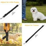 2-Pack: Multipurpose Pet Safety - Bilde 3