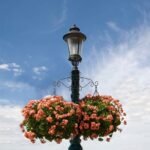 2-Piece: Iron Plant Hanging Bracket Plant Hanger Wall Hooks - Bilde 6