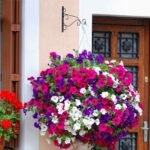 2-Piece: Iron Plant Hanging Bracket Plant Hanger Wall Hooks - Bilde 5