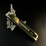 24 Hole Harmonica Mouth Metal Organ - Bilde 2