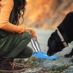 25oz Portable Dog Stainless Steel Water Dispenser Leak Proof Design - Bilde 16