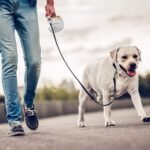 4-in-1 SitStayGo Grab n' Go Pet Dinette and Leash - Bilde 7