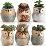 6-Pack: 2.5 Inch Owl Pot Ceramic Base - Bilde 6