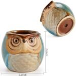 6-Pack: 2.5 Inch Owl Pot Ceramic Base - Bilde 3