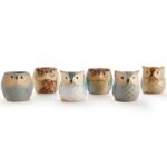 6-Pack: 2.5 Inch Owl Pot Ceramic Base - Bilde 2