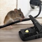 6-Pack: Reusable Mouse Trap - Bilde 11