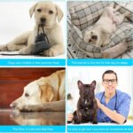 Automatic Cooling Dog Mat Washable Pet Sleeping Blanket Mat - Image 7