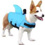 Dog Swimsuit with Shark Fin