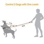 Double Dog Leash No-Tangle with Swivel Coupler Padded Handle - Image 15