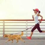 Double Dog Leash No-Tangle with Swivel Coupler Padded Handle - Image 18