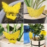 Double-Sided Flying Insect Yellow Sticky Trap - Bilde 8