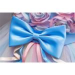 Girl's Rainbow Tulle Lace Dress - Bilde 10