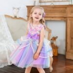 Girl's Rainbow Tulle Lace Dress - Bilde 15