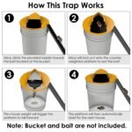 Humane Bucket Lid Mouse Trap with Ladder Auto Reset - Image 4