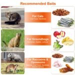 Humane Catch Release Live Animal Collapsible Galvanized Wire Trap Cage - Image 11