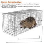 Humane Catch Release Live Animal Collapsible Galvanized Wire Trap Cage - Image 7