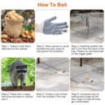 Humane Catch Release Live Animal Collapsible Galvanized Wire Trap Cage - Image 10