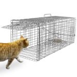 Humane Catch Release Live Animal Collapsible Galvanized Wire Trap Cage - Image 3