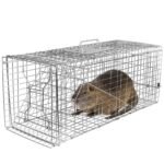 Humane Catch Release Live Animal Collapsible Galvanized Wire Trap Cage - Image 2