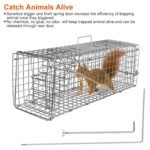 Humane Live Animal Rodent Cage Collapsible Galvanized Wire - Bilde 7