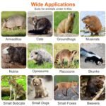 Humane Live Animal Rodent Cage Collapsible Galvanized Wire - Bilde 12