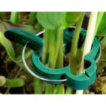 Plant Support Clips for Garden Vine to Grow Upright - Image 5