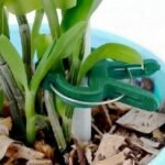 Plant Support Clips for Garden Vine to Grow Upright - Image 7