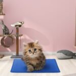 Pressure Activated Pet Gel Self Cooling Mat Pad - Bilde 2