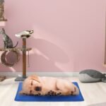 Pressure Activated Pet Gel Self Cooling Mat Pad - Bilde 4