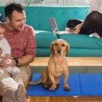 Pressure Activated Pet Gel Self Cooling Mat Pad - Bilde 8