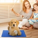 Pressure Activated Pet Gel Self Cooling Mat Pad - Bilde 3