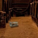 Rat Trap Cage Humane Live Rodent - Image 17