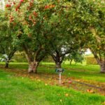 Solar Ultrasonic Animal Repeller Motion Sensor - Image 14