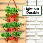 Upside Down Tomato Grow Bag - Image 5