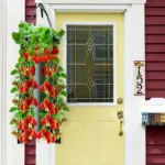 Upside Down Tomato Grow Bag - Image 8