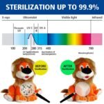 UV Sanitizer Bag Virus ZAP ?C Kills 99.99% Viruses, Germs and Bacteria - Image 15